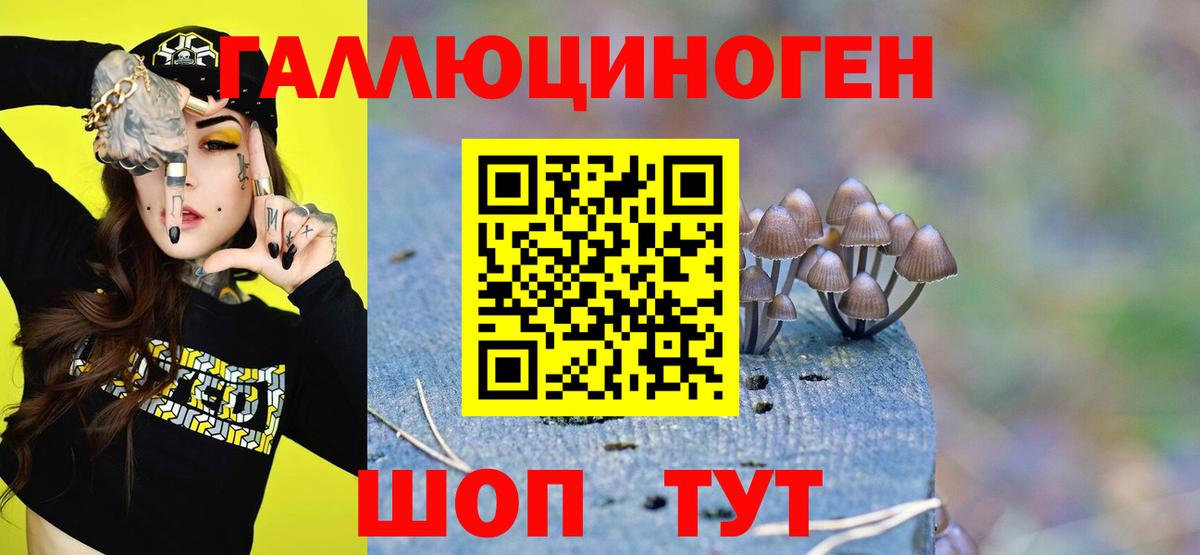 Псилоцибиновые грибы GOLDEN TEACHER  где можно купить наркотик  Тольятти  Вход с VPN 